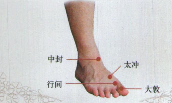 十二、足厥陰肝經(jīng)穴